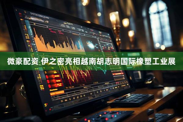微豪配资 伊之密亮相越南胡志明国际橡塑工业展
